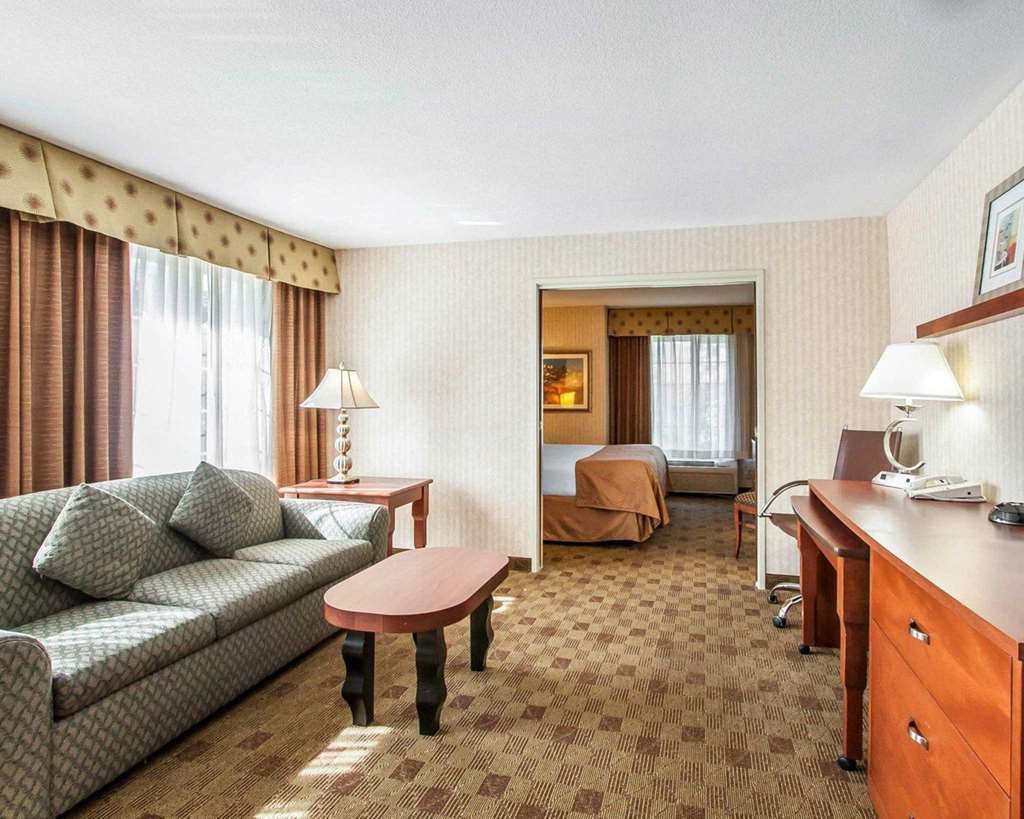 Clarion International Airport Hotel 3*